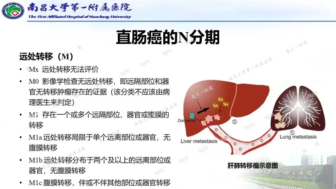 影像PPT - 【PPT】直肠癌MRI分期-27
