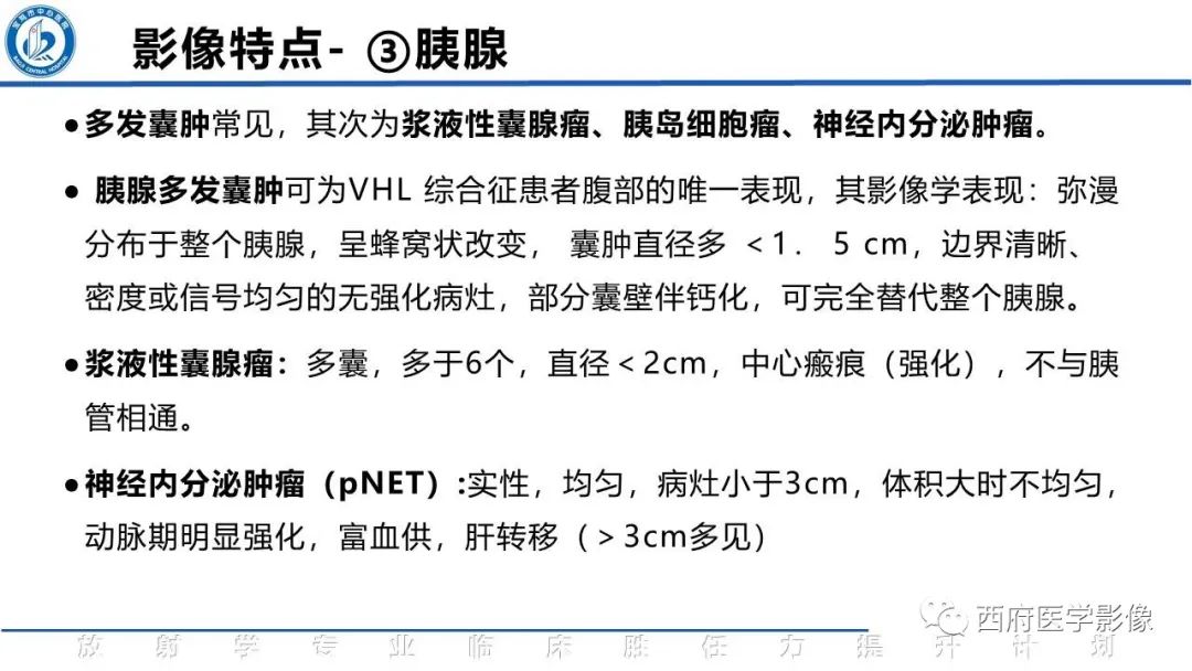 影像PPT - 【PPT】VHL综合征影像诊断-9