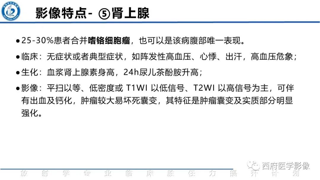影像PPT - 【PPT】VHL综合征影像诊断-15