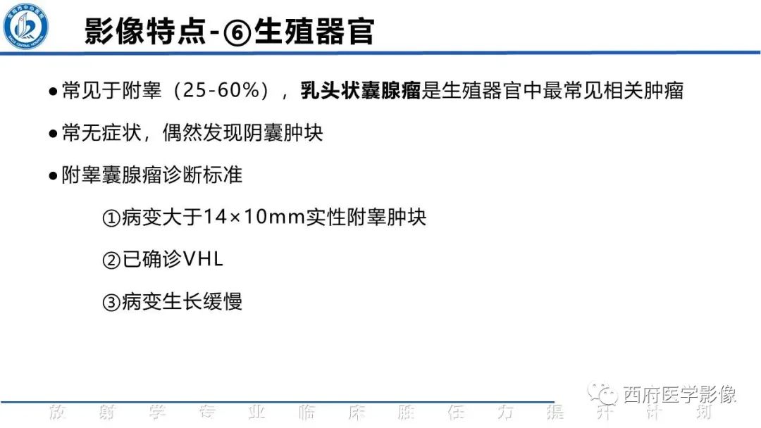 影像PPT - 【PPT】VHL综合征影像诊断-17