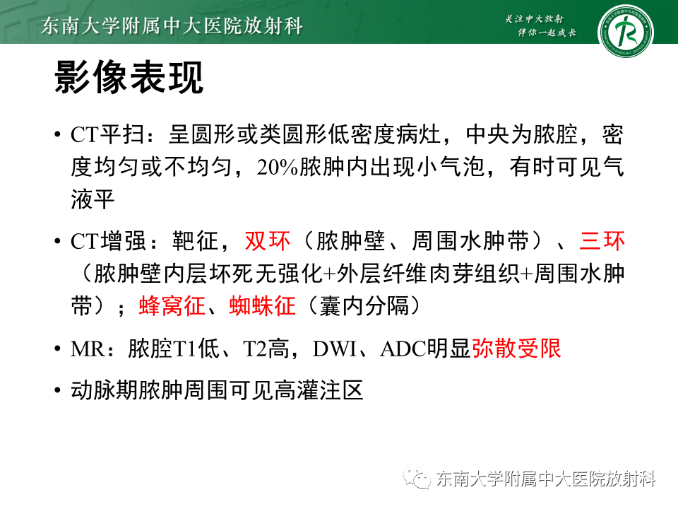 影像PPT - 【PPT】肝黏液性囊性肿瘤(MCN)-29