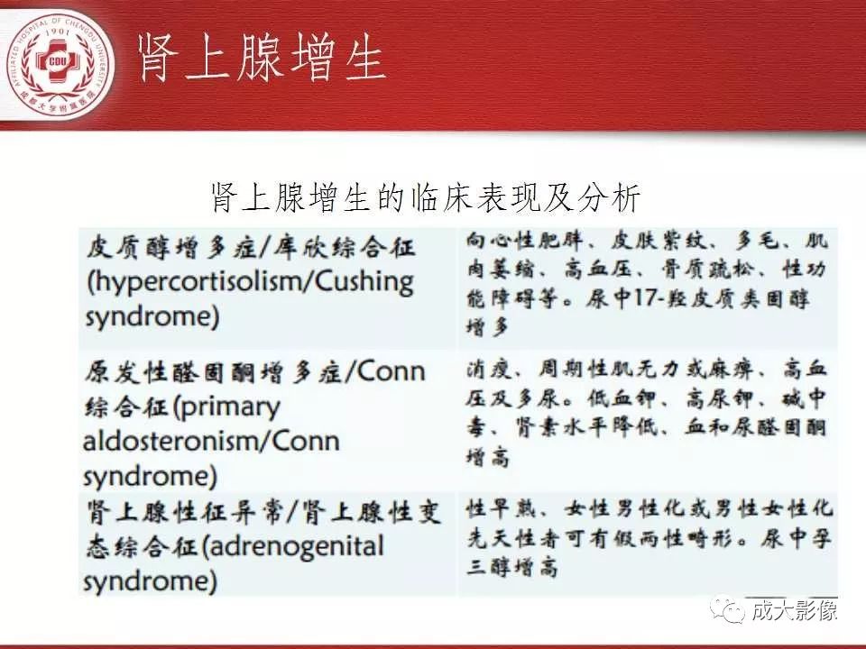 影像PPT - 【PPT】常见肾上腺疾病影像诊断-13