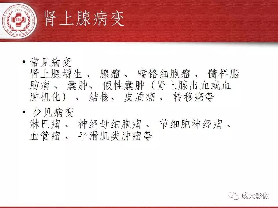 影像PPT - 【PPT】常见肾上腺疾病影像诊断-11