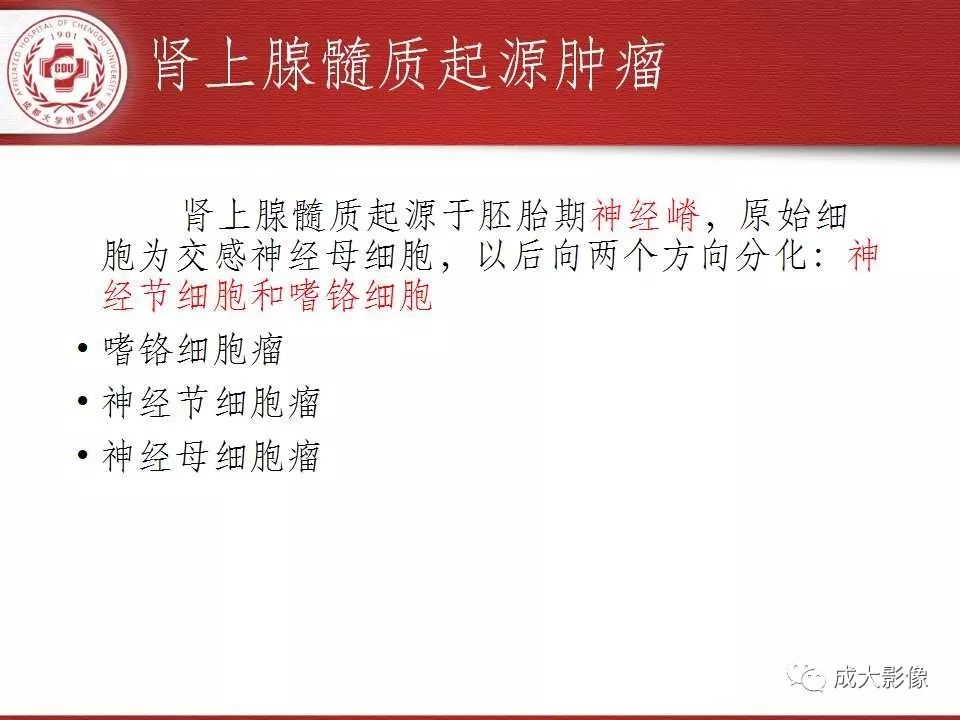 影像PPT - 【PPT】常见肾上腺疾病影像诊断-28