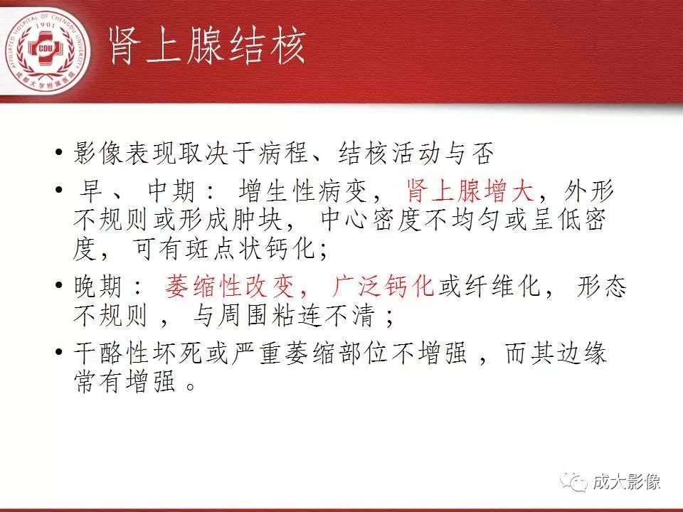 影像PPT - 【PPT】常见肾上腺疾病影像诊断-46