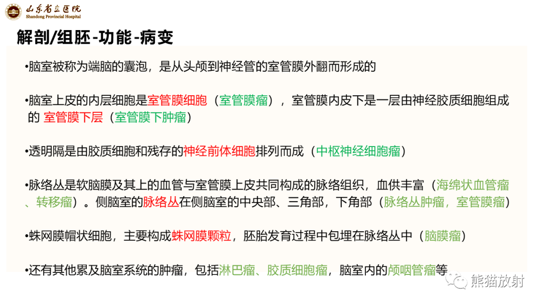 影像PPT - 【病例】侧脑室脑膜瘤 VS 淋巴瘤-19