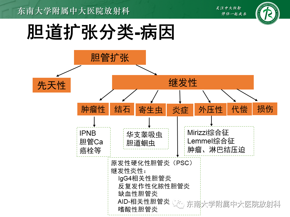 影像PPT - 【PPT】继发性肝内胆管局部扩张影像诊断思路-22