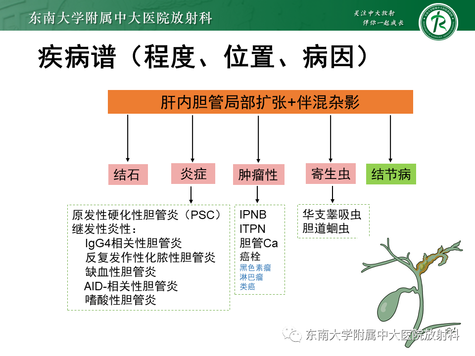 影像PPT - 【PPT】继发性肝内胆管局部扩张影像诊断思路-24