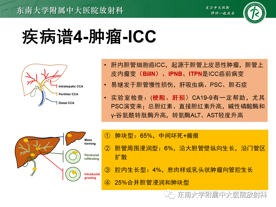 影像PPT - 【PPT】继发性肝内胆管局部扩张影像诊断思路-34
