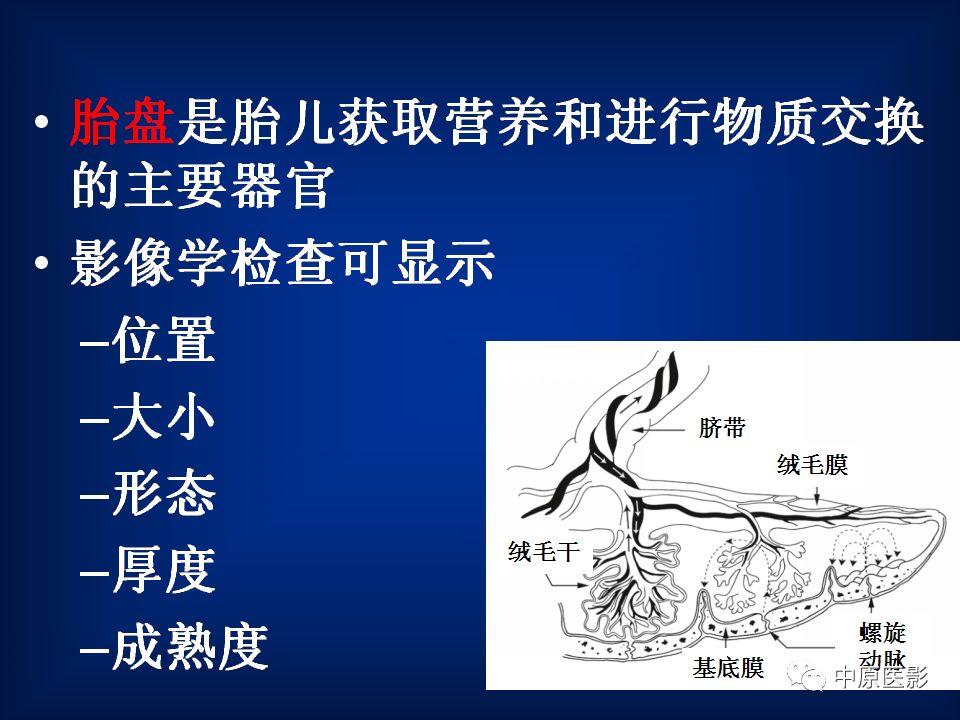 影像PPT - 【PPT】胎盘植入的MRI诊断-2