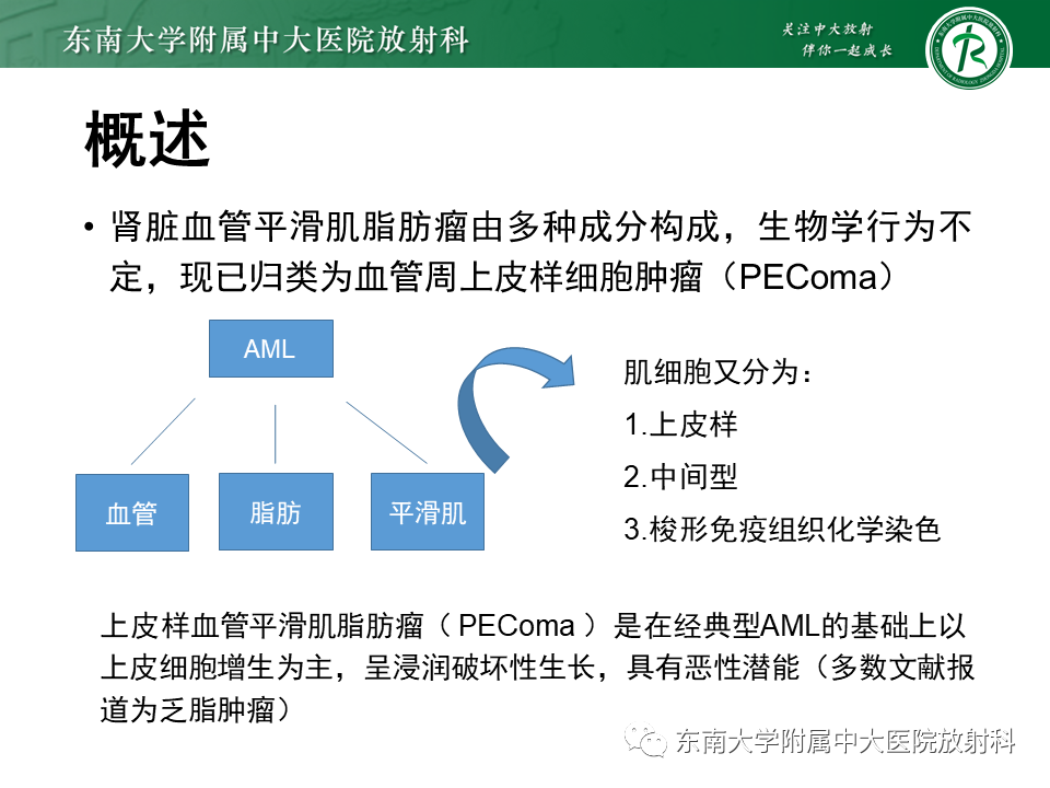 影像PPT - 【PPT】肾脏上皮样血管平滑肌脂肪瘤-7