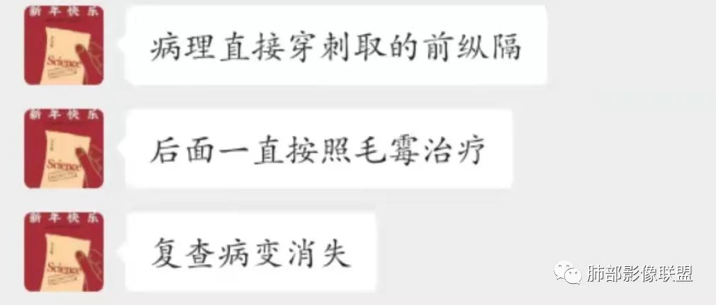 影像PPT - 【病例】纵隔/心脏毛霉菌病1例CT影像-45 影像PPT - 【病例】纵隔/心脏毛霉菌病1例CT影像-45