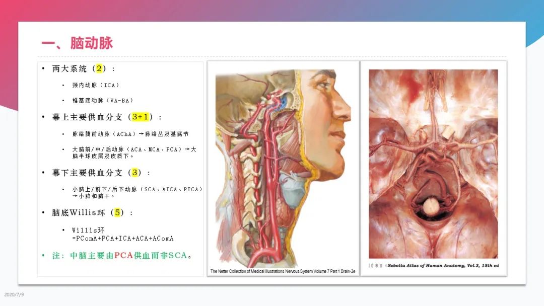 影像PPT - 【PPT】脑血管解剖-3 影像PPT - 【PPT】脑血管解剖-3