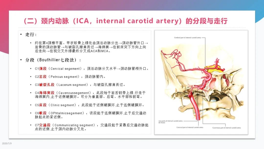 影像PPT - 【PPT】脑血管解剖-5 影像PPT - 【PPT】脑血管解剖-5