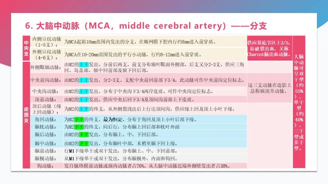 影像PPT - 【PPT】脑血管解剖-14 影像PPT - 【PPT】脑血管解剖-14