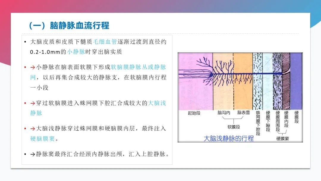 影像PPT - 【PPT】脑血管解剖-34 影像PPT - 【PPT】脑血管解剖-34