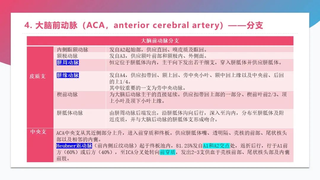 影像PPT - 【PPT】脑血管解剖-11 影像PPT - 【PPT】脑血管解剖-11