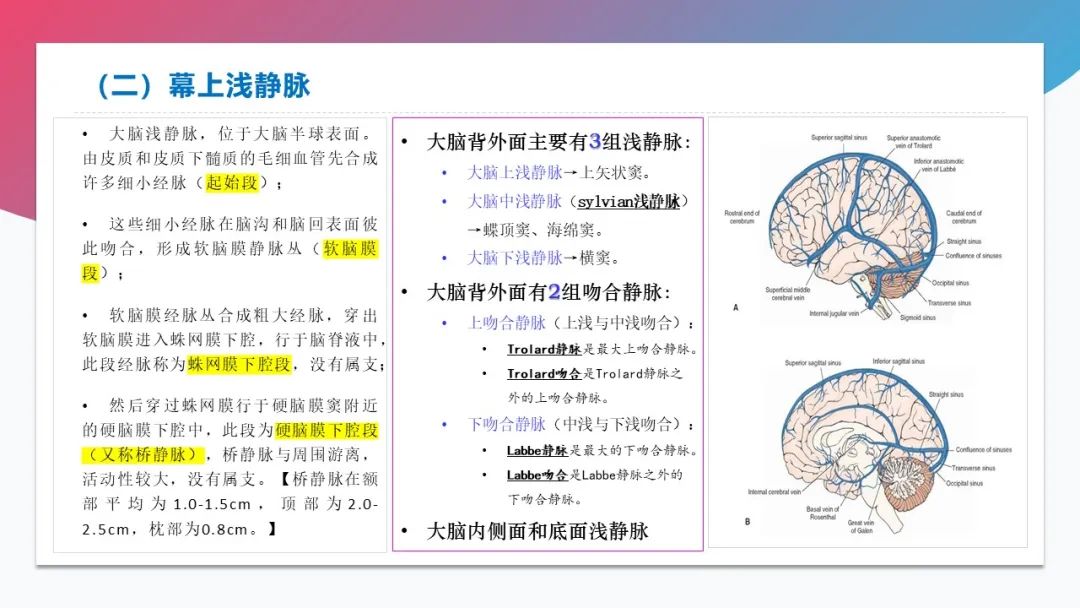 影像PPT - 【PPT】脑血管解剖-35 影像PPT - 【PPT】脑血管解剖-35