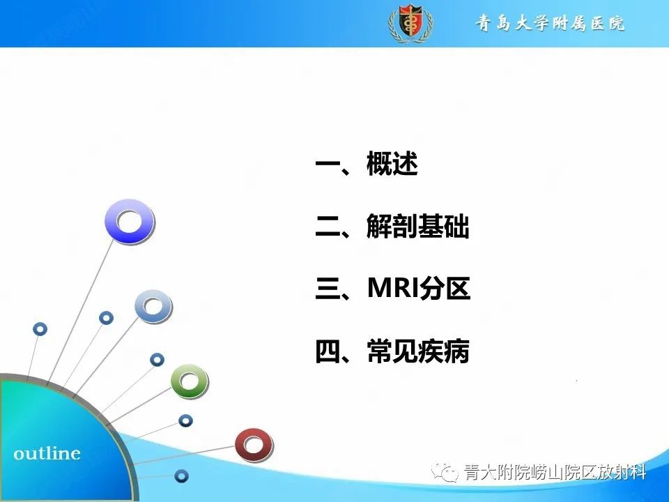 影像PPT - 【PPT】前列腺MRI解剖分区-2