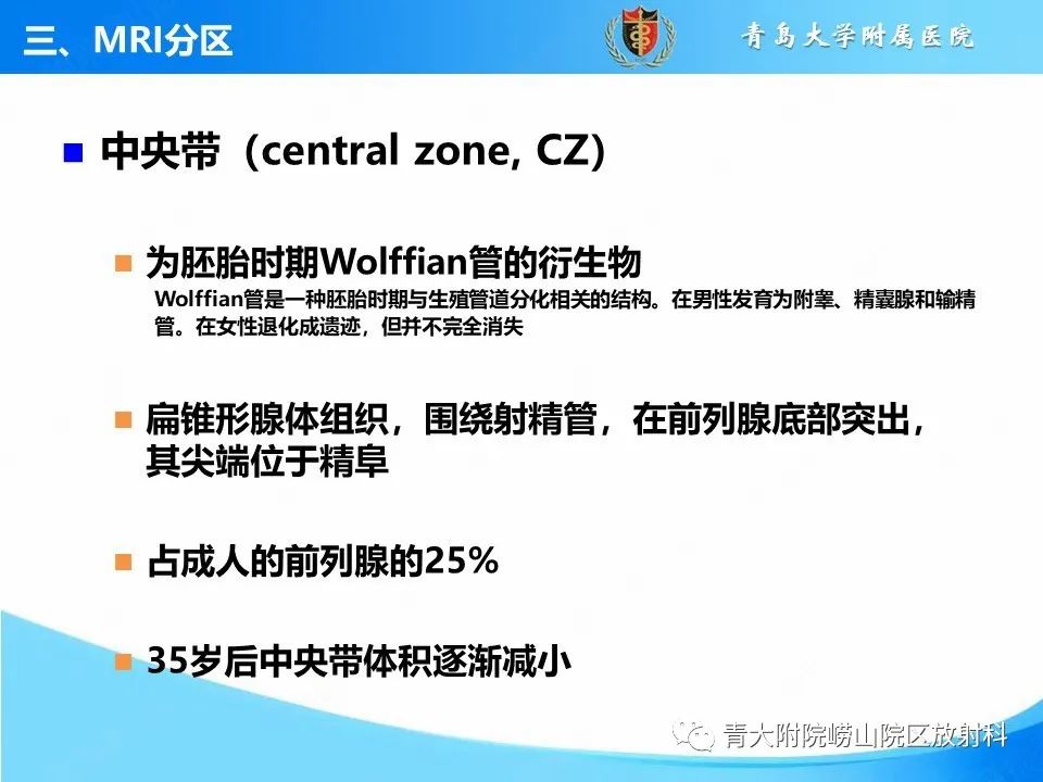 影像PPT - 【PPT】前列腺MRI解剖分区-13