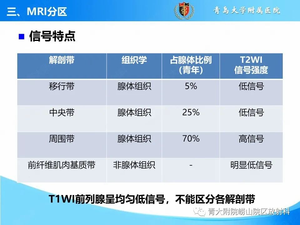影像PPT - 【PPT】前列腺MRI解剖分区-7
