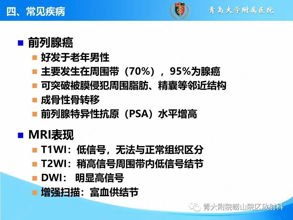 影像PPT - 【PPT】前列腺MRI解剖分区-34