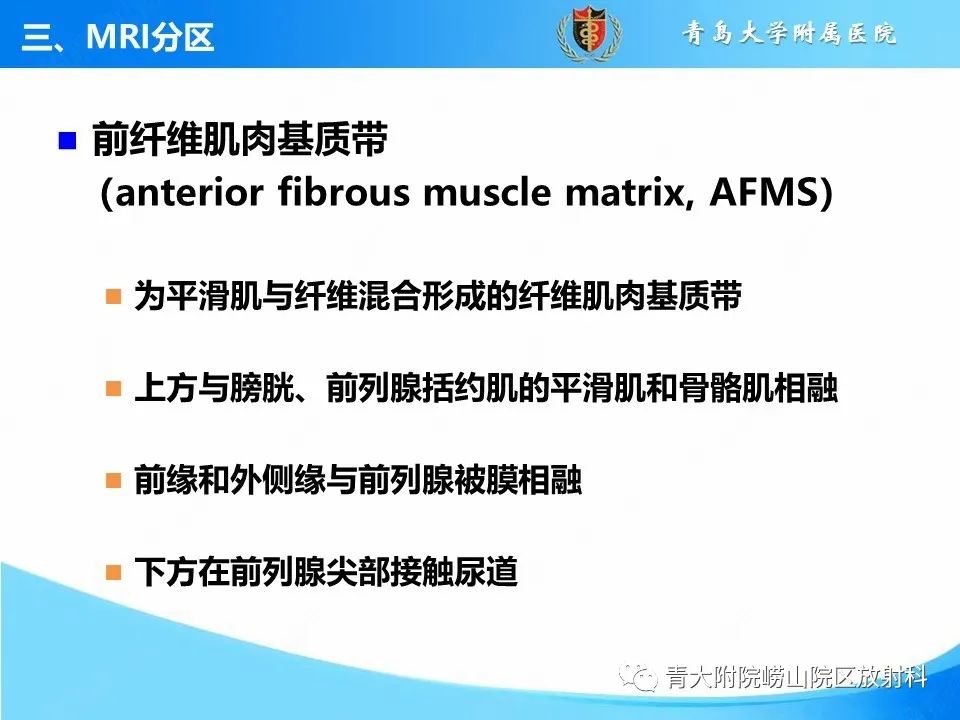 影像PPT - 【PPT】前列腺MRI解剖分区-21