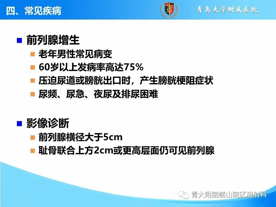 影像PPT - 【PPT】前列腺MRI解剖分区-28