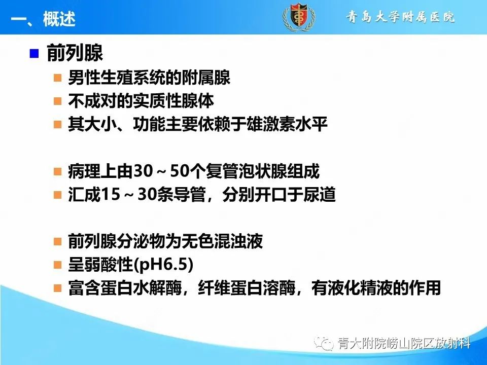 影像PPT - 【PPT】前列腺MRI解剖分区-2