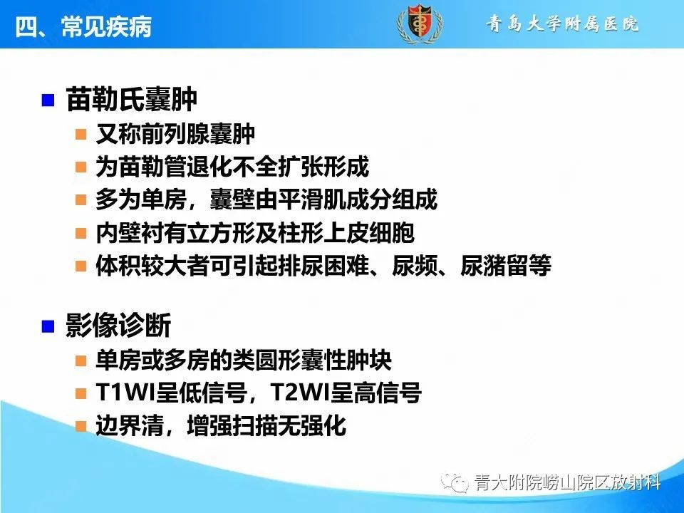 影像PPT - 【PPT】前列腺MRI解剖分区-7