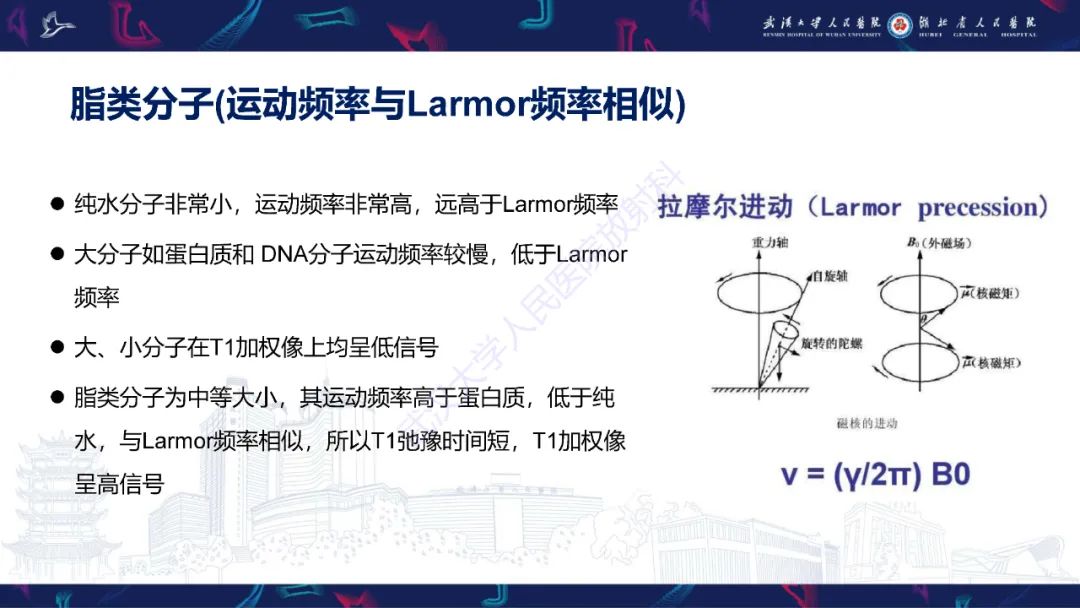 影像PPT - 【PPT】鞍区T1WI高信号病变影像诊断-4