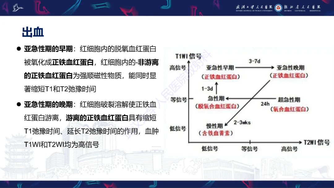 影像PPT - 【PPT】鞍区T1WI高信号病变影像诊断-10