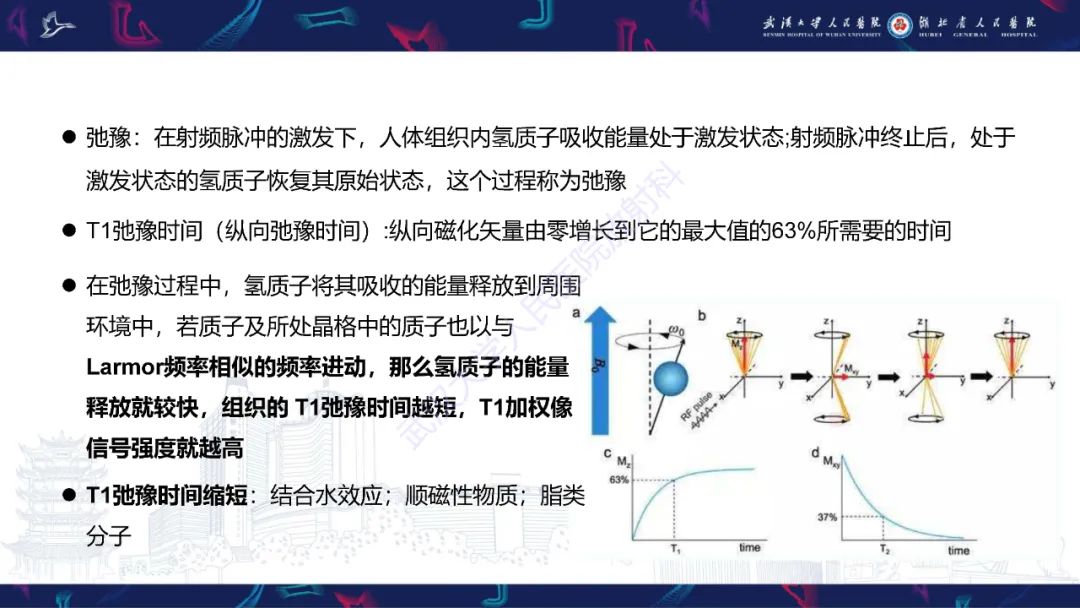 影像PPT - 【PPT】鞍区T1WI高信号病变影像诊断-2