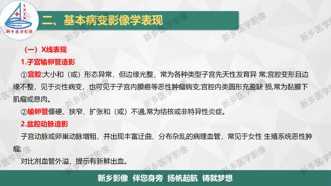 影像PPT - 【PPT】女性生殖解剖、发育畸形影像表现-11