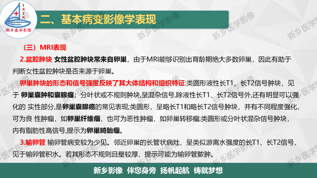 影像PPT - 【PPT】女性生殖解剖、发育畸形影像表现-14