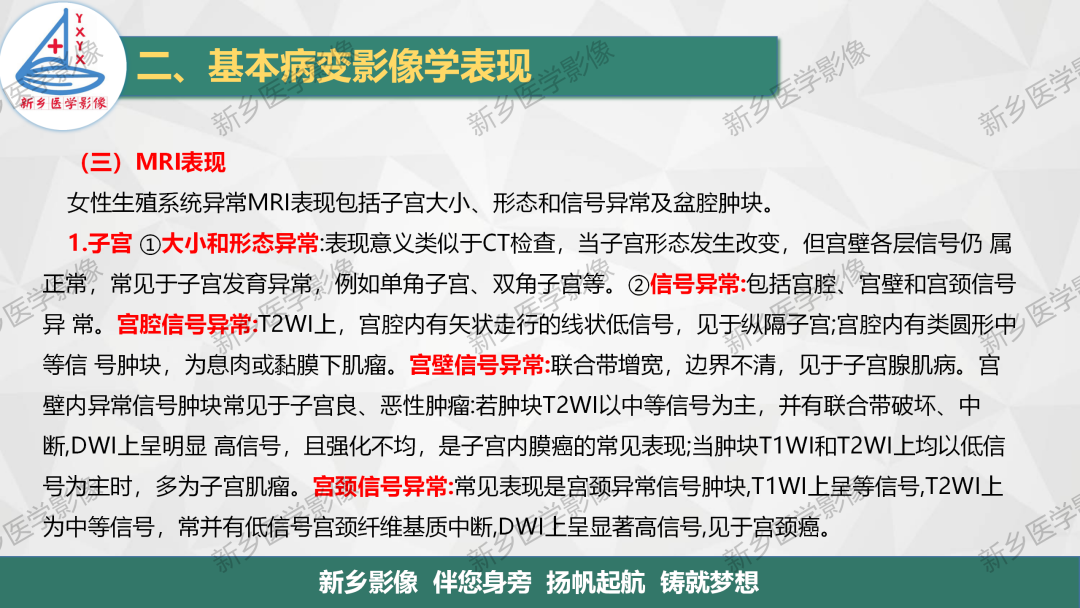 影像PPT - 【PPT】女性生殖解剖、发育畸形影像表现-5