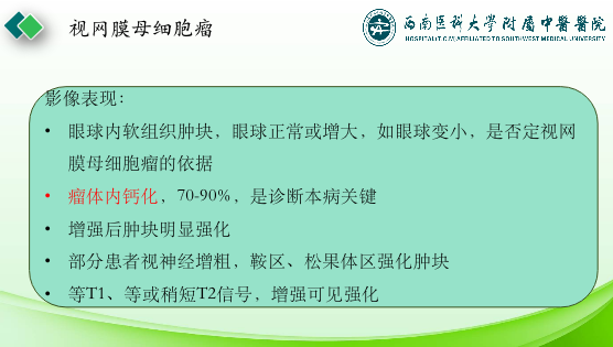 影像PPT - 【PPT】眼部常见疾病影像学定位诊断-37