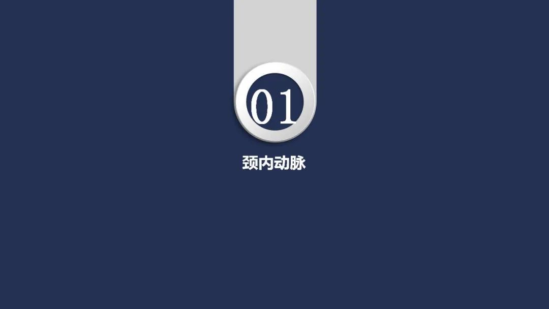 影像PPT - 【PPT】颅内动脉系统相关解剖-3
