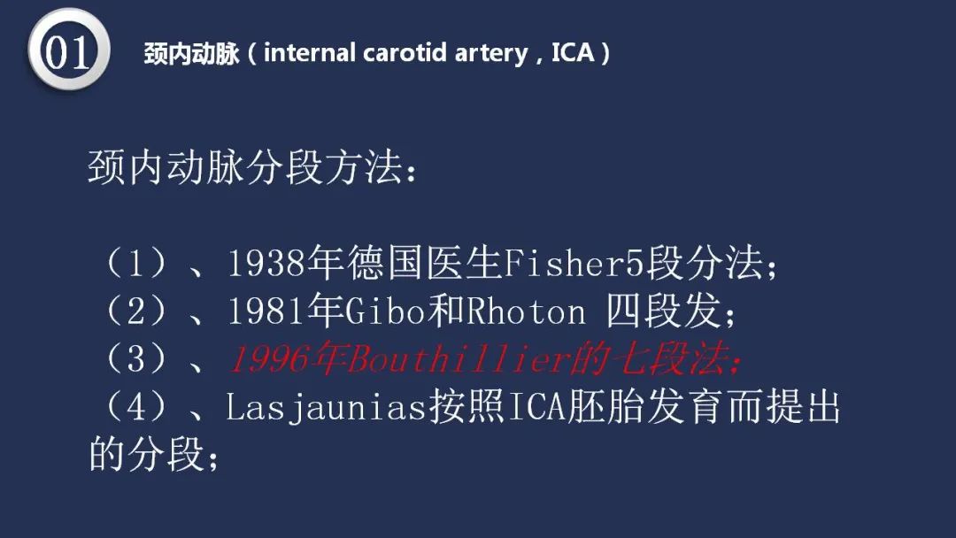影像PPT - 【PPT】颅内动脉系统相关解剖-4