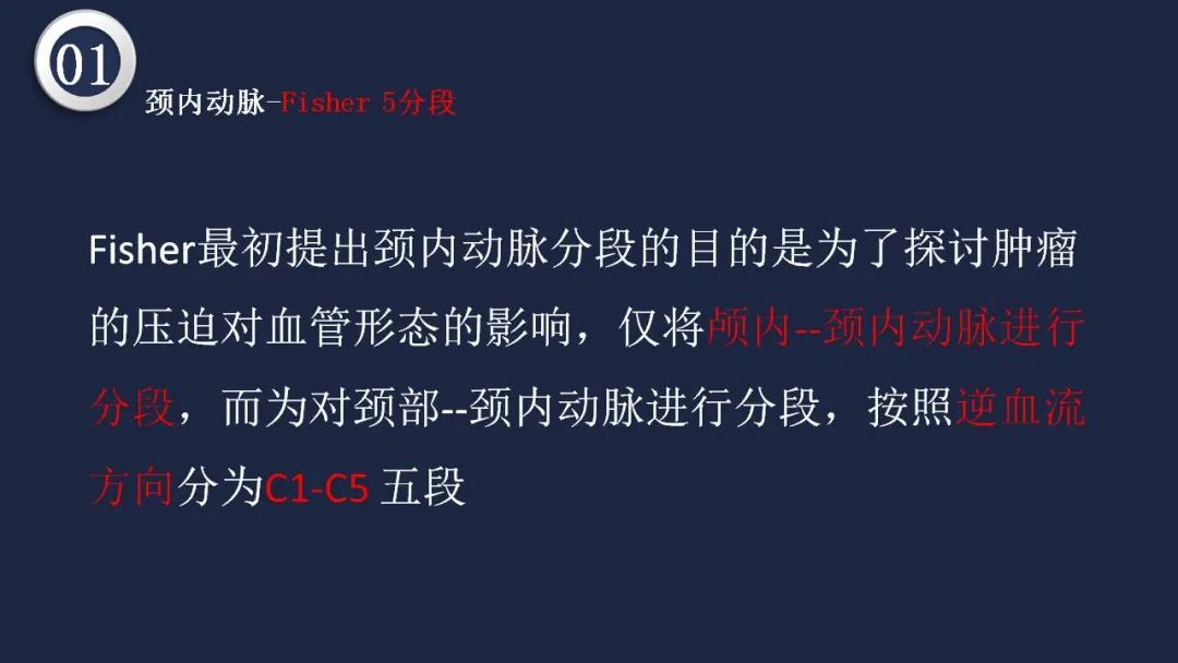 影像PPT - 【PPT】颅内动脉系统相关解剖-5