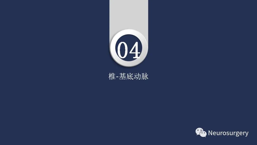 影像PPT - 【PPT】颅内动脉系统相关解剖-50