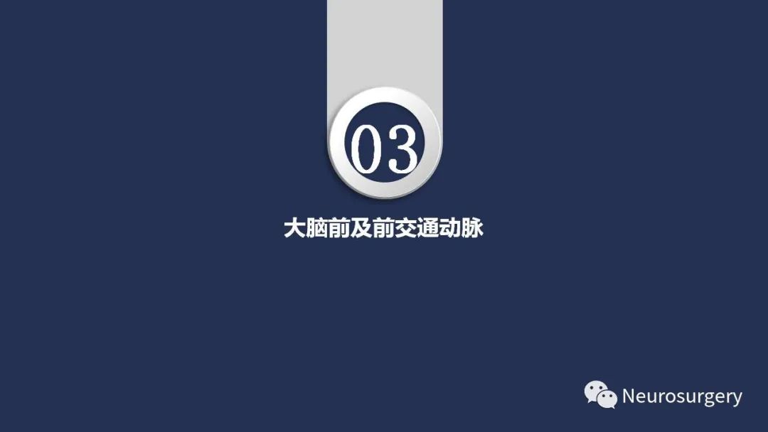 影像PPT - 【PPT】颅内动脉系统相关解剖-39