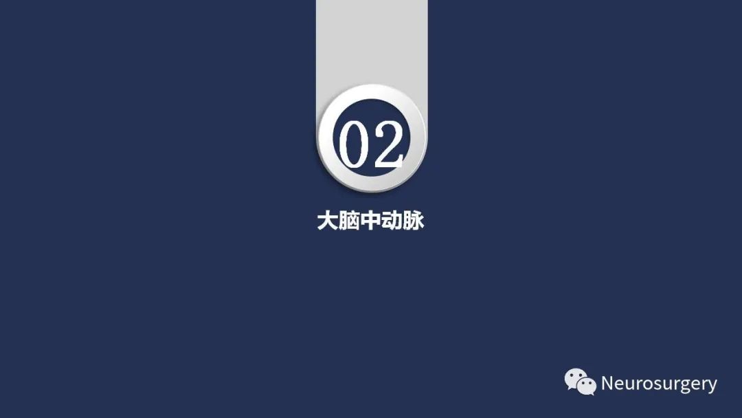 影像PPT - 【PPT】颅内动脉系统相关解剖-29