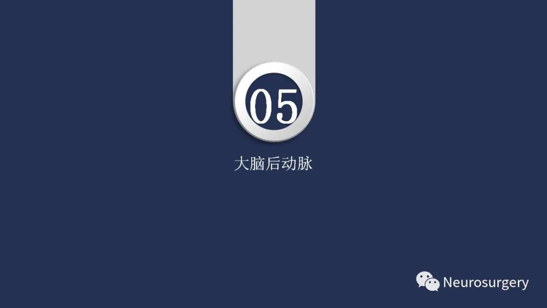 影像PPT - 【PPT】颅内动脉系统相关解剖-62