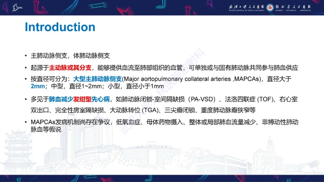 影像PPT - 【PPT】主肺动脉侧支影像诊断-4