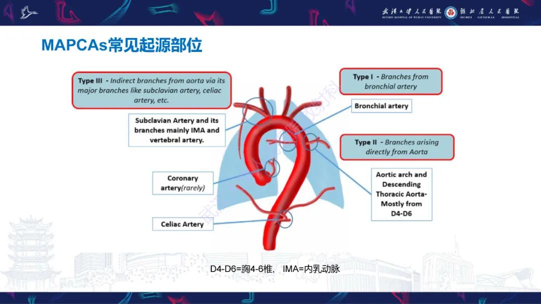 影像PPT - 【PPT】主肺动脉侧支影像诊断-10