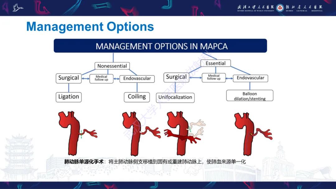 影像PPT - 【PPT】主肺动脉侧支影像诊断-22