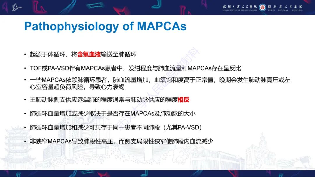 影像PPT - 【PPT】主肺动脉侧支影像诊断-12