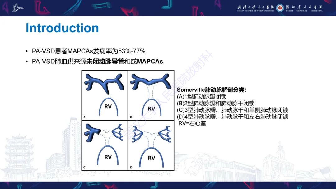 影像PPT - 【PPT】主肺动脉侧支影像诊断-5