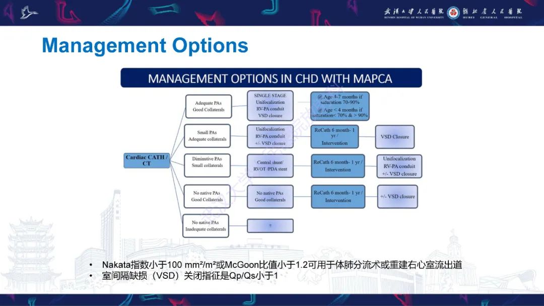 影像PPT - 【PPT】主肺动脉侧支影像诊断-24